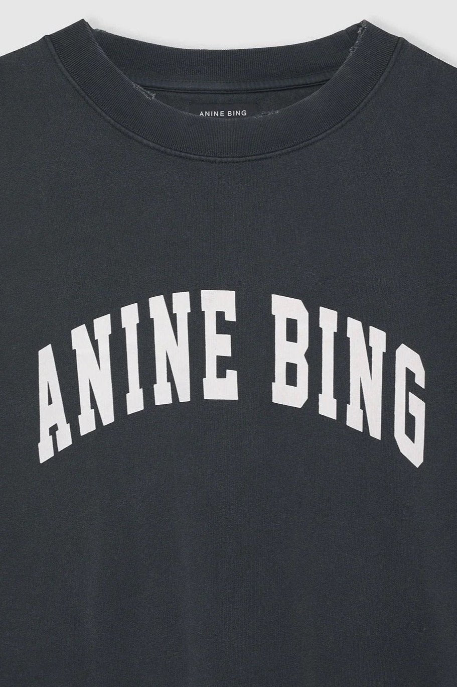 Anine Bing Tyler Sweatshirt Washed Black